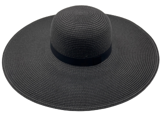 Paja Black Floppy Hat
